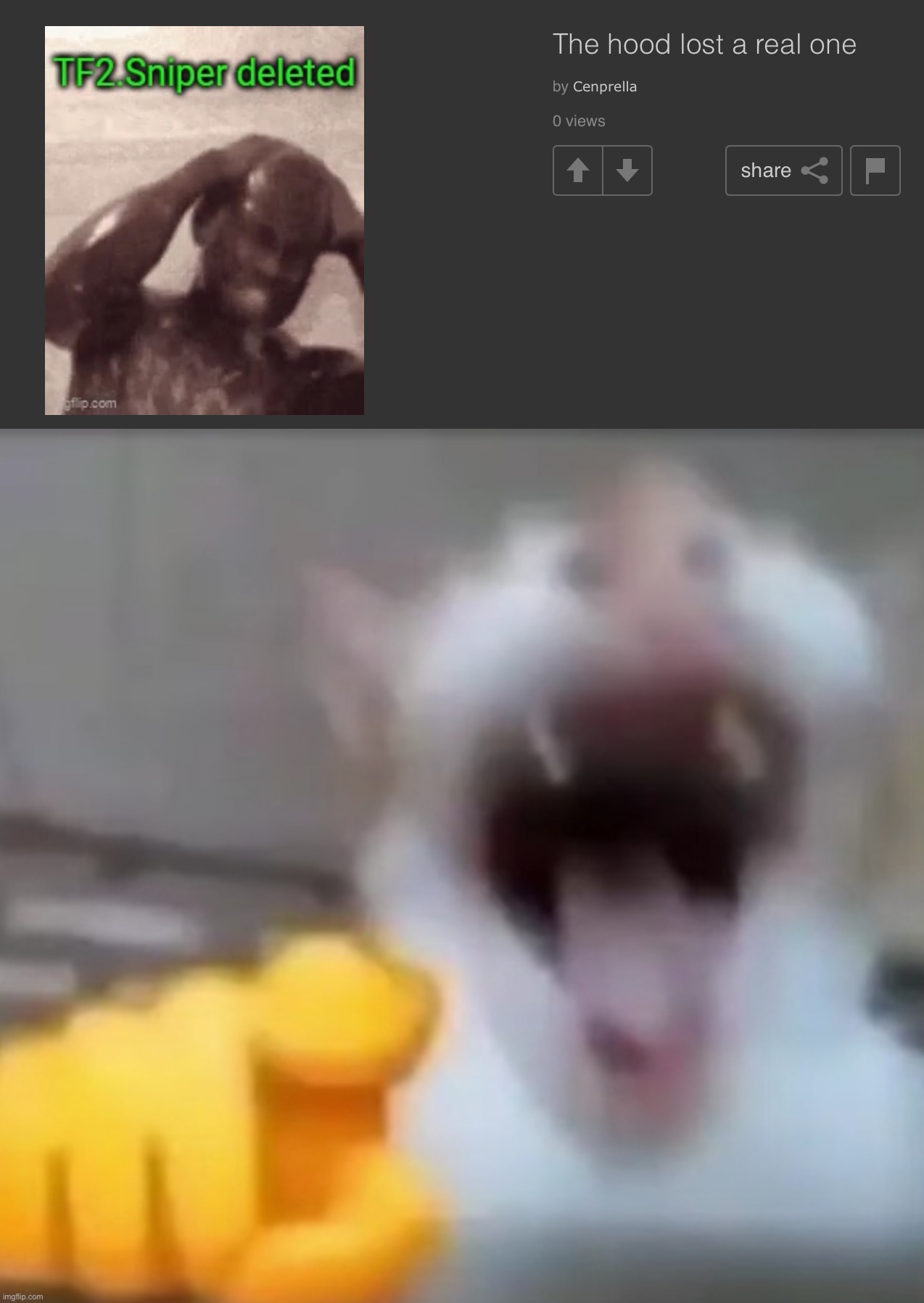 Tragic moment | image tagged in cat pointing and laughing | made w/ Imgflip meme maker