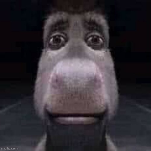 Donkey staring | image tagged in donkey staring | made w/ Imgflip meme maker