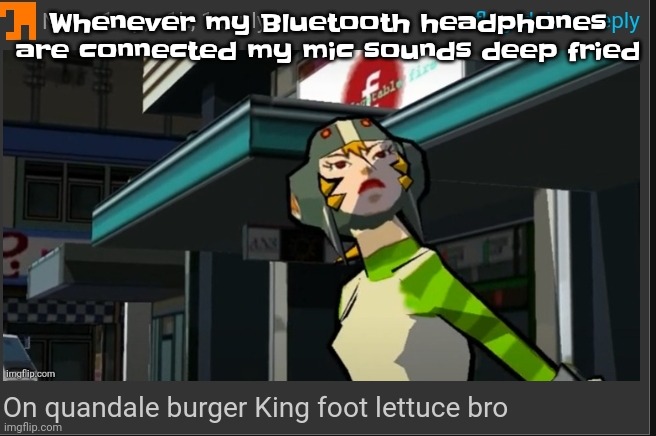 Like bro | Whenever my Bluetooth headphones are connected my mic sounds deep fried | image tagged in on quandale burger king foot lettuce bro | made w/ Imgflip meme maker