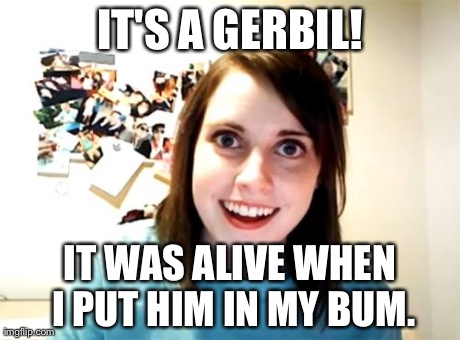 Overly Attached Girlfriend Meme | IT'S A GERBIL! IT WAS ALIVE WHEN I PUT HIM IN MY BUM. | image tagged in memes,overly attached girlfriend | made w/ Imgflip meme maker