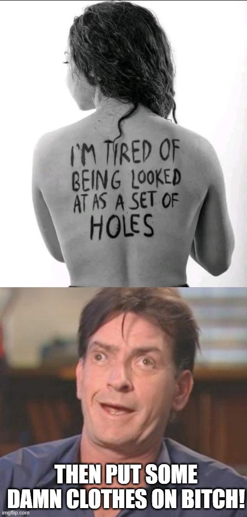 Tired of Being Holes | THEN PUT SOME DAMN CLOTHES ON BITCH! | image tagged in charlie sheen derp | made w/ Imgflip meme maker