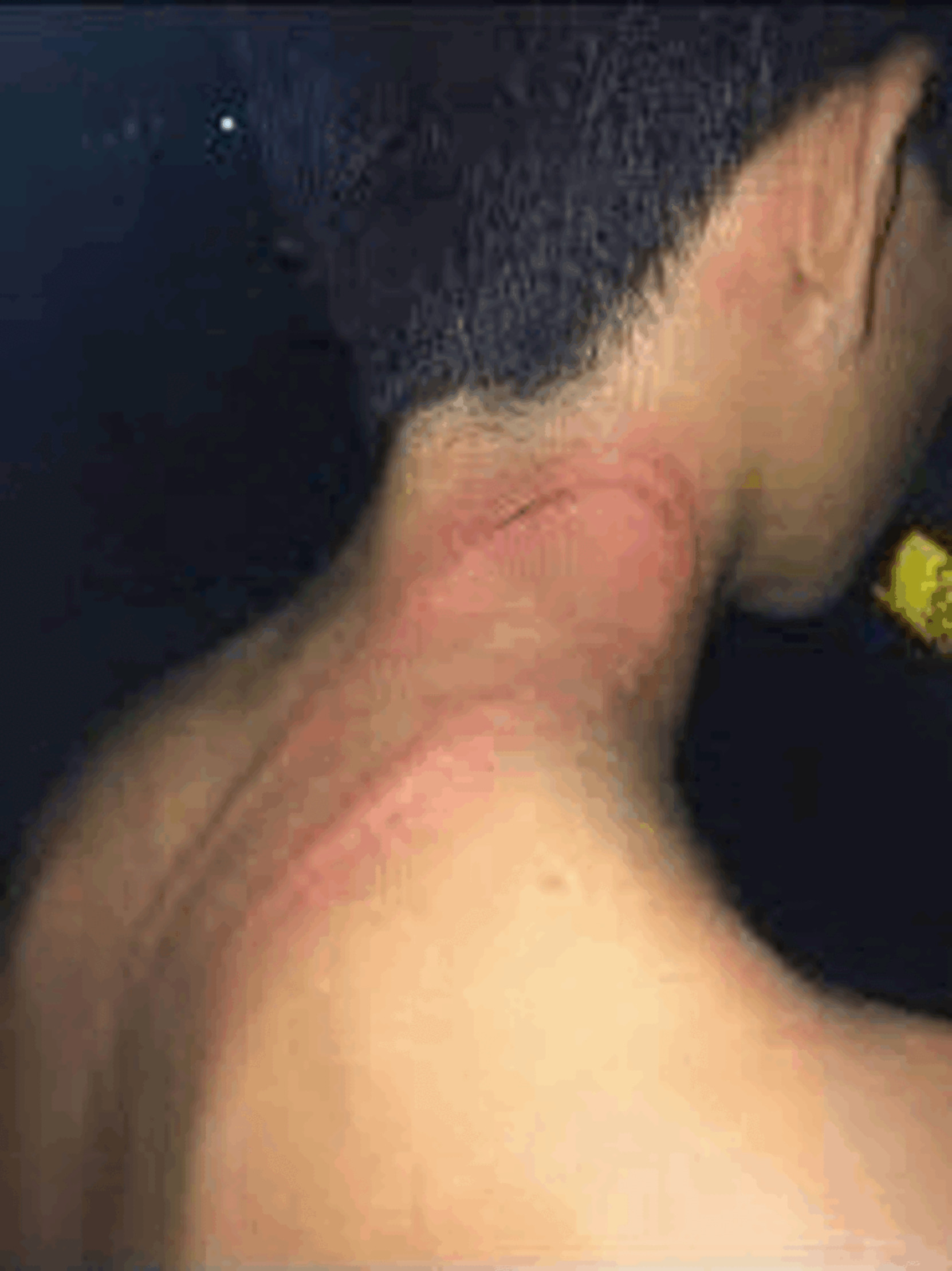 Cuenta la leyenda que esto sucedía cuando levantaba la voz a tus Blank Meme Template