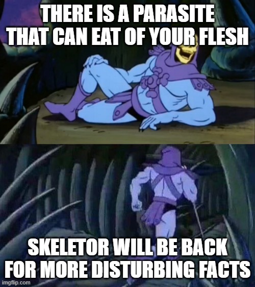 Skeletor disturbing facts | THERE IS A PARASITE THAT CAN EAT OF YOUR FLESH; SKELETOR WILL BE BACK FOR MORE DISTURBING FACTS | image tagged in skeletor disturbing facts | made w/ Imgflip meme maker