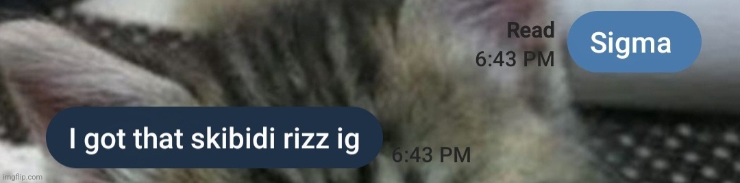 Bros reaction to getting a partner | image tagged in brainrot | made w/ Imgflip meme maker
