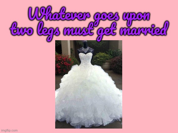 1st Commandment | Whatever goes upon two legs must get married | image tagged in girl,pretty girl,gorgeous,church,catholic church,princess | made w/ Imgflip meme maker