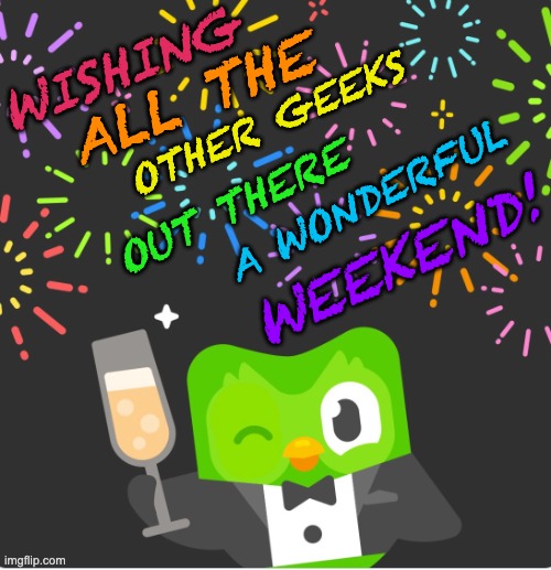 Enjoy yourself . . . the way you do | WISHING; ALL THE; OTHER GEEKS; OUT THERE; A WONDERFUL; WEEKEND! | image tagged in duo party night,duolingo,fun,weekend,good times,party | made w/ Imgflip meme maker