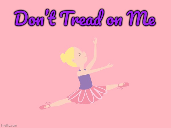 Don't Tread on Me | Don’t Tread on Me | image tagged in ballet,ballerina,girl,pretty girl,gorgeous,rebel | made w/ Imgflip meme maker