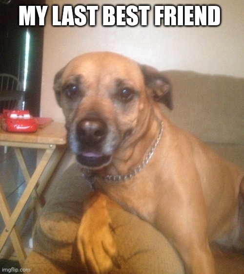 MY LAST BEST FRIEND | made w/ Imgflip meme maker