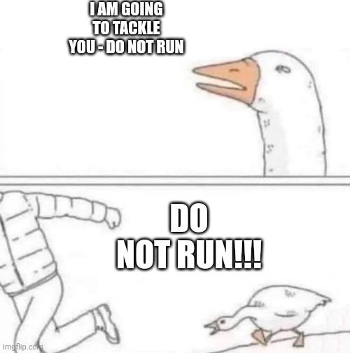 Goose Chase | I AM GOING TO TACKLE YOU - DO NOT RUN; DO NOT RUN!!! | image tagged in goose chase | made w/ Imgflip meme maker