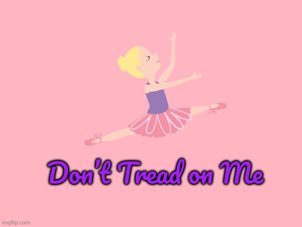 Don't Tread on Me (Ver. 2) | Don’t Tread on Me | image tagged in ballet,ballerina,girl,pretty girl,princess,independence | made w/ Imgflip meme maker