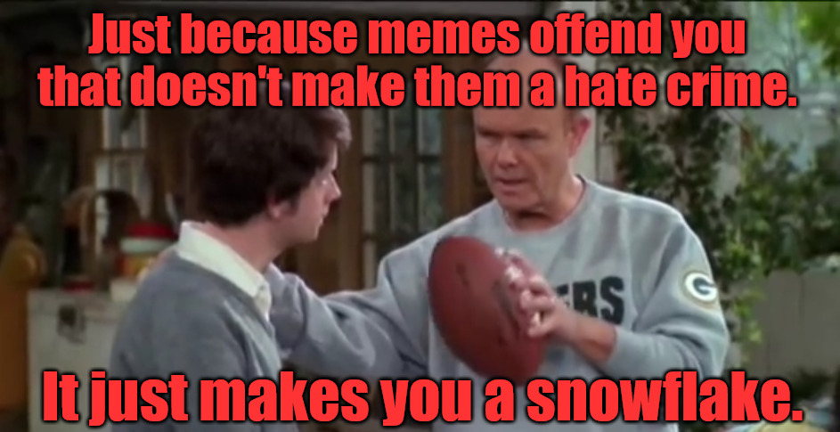 Don't be a Snowflake | Just because memes offend you that doesn't make them a hate crime. It just makes you a snowflake. | image tagged in if properly executed | made w/ Imgflip meme maker