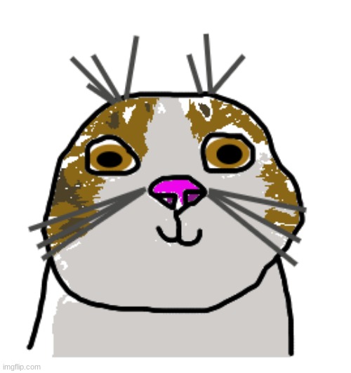 i drew it @FoxedMemes, i drew the cat and it fucking sucks | made w/ Imgflip meme maker