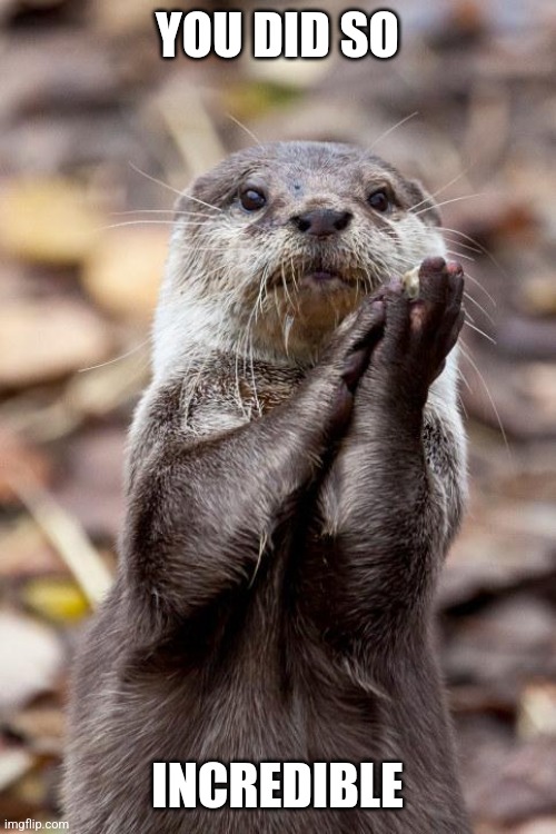 Slow-Clap Otter | YOU DID SO INCREDIBLE | image tagged in slow-clap otter | made w/ Imgflip meme maker