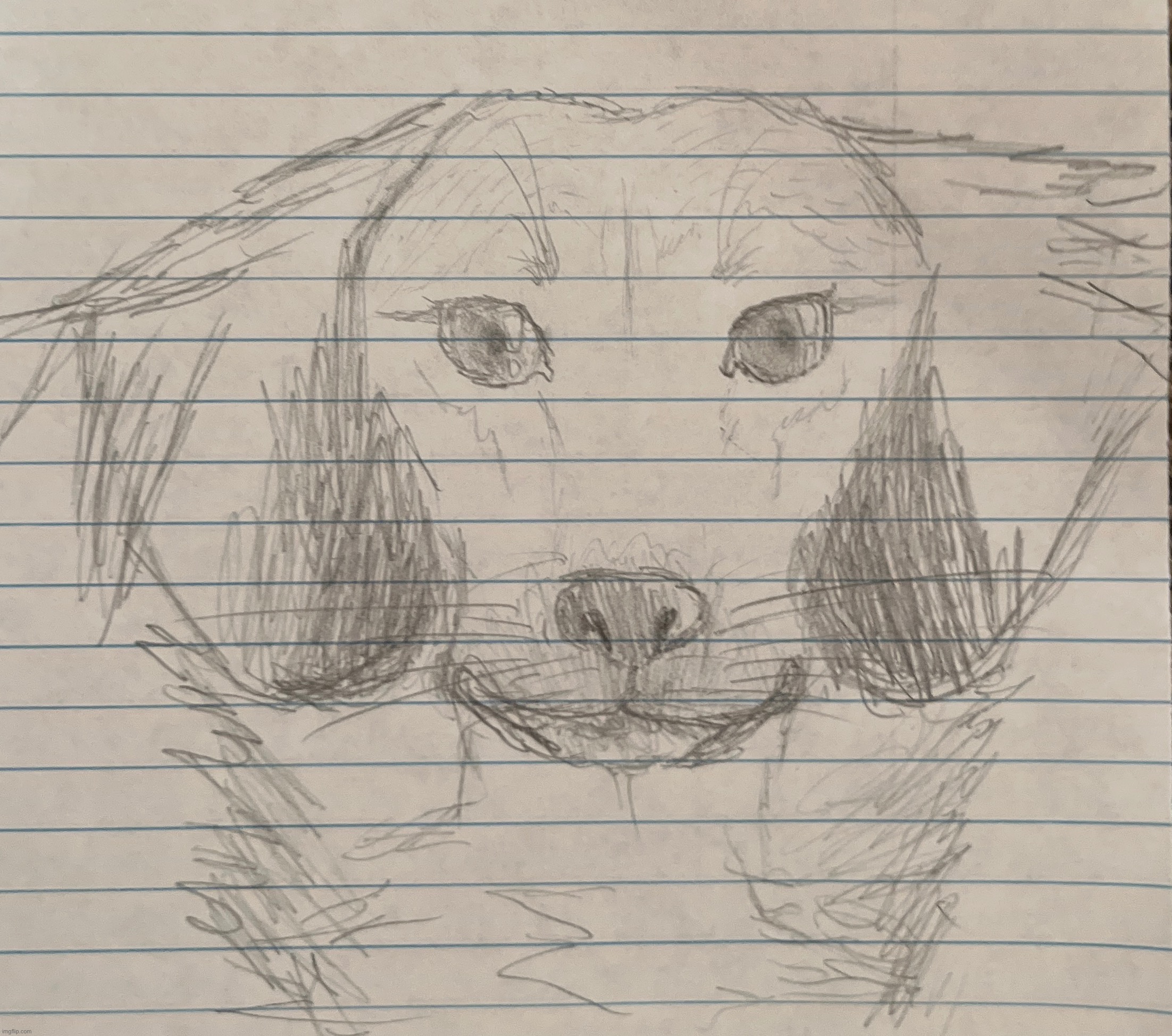 I couldn’t post any digital arts because they take a long time, so uhh here have a sketch of my dog | made w/ Imgflip meme maker