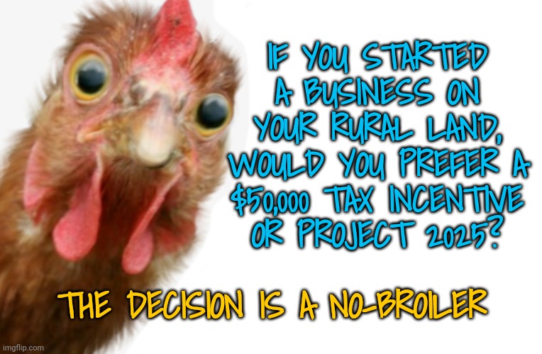 It's a No-Broiler | IF YOU STARTED A BUSINESS ON YOUR RURAL LAND, WOULD YOU PREFER A
 $50,000 TAX INCENTIVE 
OR PROJECT 2025? THE DECISION IS A NO-BROILER | image tagged in dnc,rural america,kamala harris,taxes,project 2025 | made w/ Imgflip meme maker