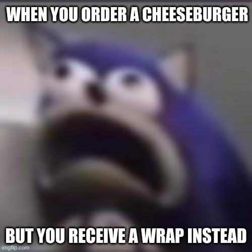 The order mistake | WHEN YOU ORDER A CHEESEBURGER; BUT YOU RECEIVE A WRAP INSTEAD | image tagged in distress,sonic,sonic the hedgehog,food,cheeseburger,wrap | made w/ Imgflip meme maker