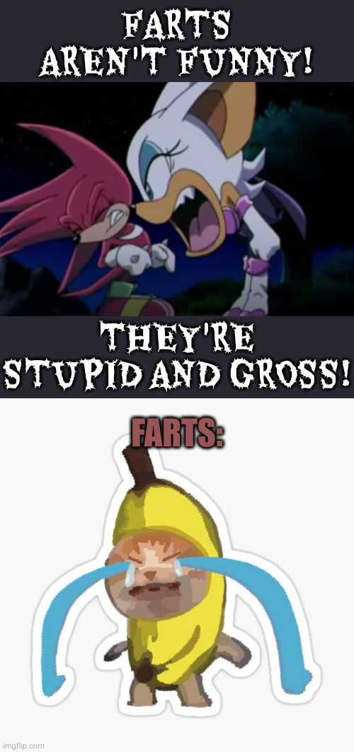 FARTS AREN'T FUNNY! THEY'RE STUPID AND GROSS! FARTS: | image tagged in rouge yelling at knuckles | made w/ Imgflip meme maker