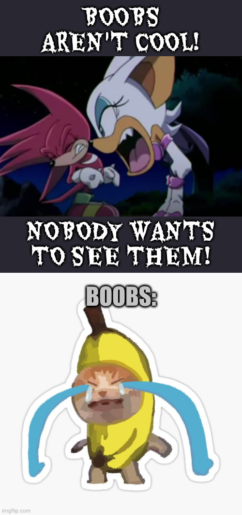BOOBS AREN'T COOL! NOBODY WANTS TO SEE THEM! BOOBS: | image tagged in rouge yelling at knuckles | made w/ Imgflip meme maker