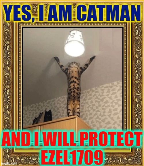 YES, I AM CATMAN AND I WILL PROTECT
EZEL1709 | made w/ Imgflip meme maker