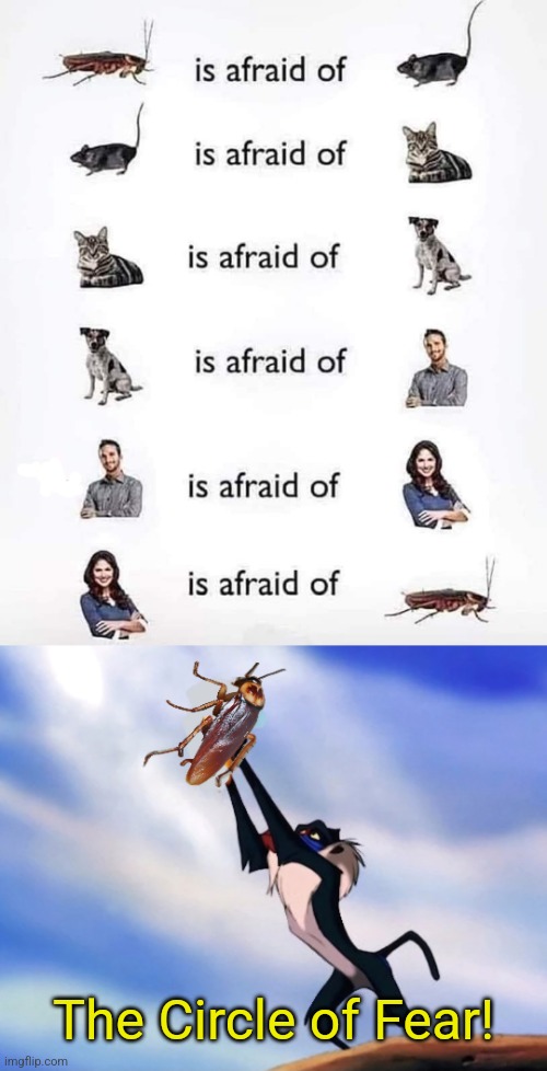 Full Circle | The Circle of Fear! | image tagged in animals,fear,cockroach,circle of life,funny memes | made w/ Imgflip meme maker