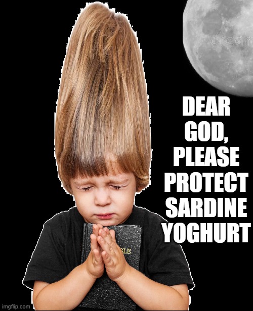 DEAR
GOD,
PLEASE
PROTECT
SARDINE
YOGHURT | made w/ Imgflip meme maker