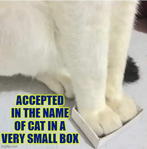 ACCEPTED IN THE NAME OF CAT IN A VERY SMALL BOX | made w/ Imgflip meme maker