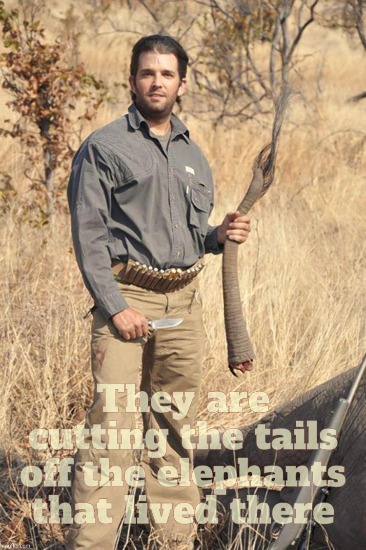 Driving elephants to extinction just for a selfie? So what, they're eating Foofy the Yorkie in Springfield Ohio! | They are cutting the tails off the elephants that lived there | image tagged in donald trump jr elephant tail,they are eating the pets of the people that live there,trump fanfic,conservative hypocrisy | made w/ Imgflip meme maker