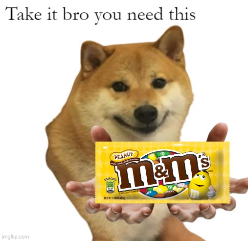 Take It Bro You Need This Blank | image tagged in take it bro you need this blank | made w/ Imgflip meme maker