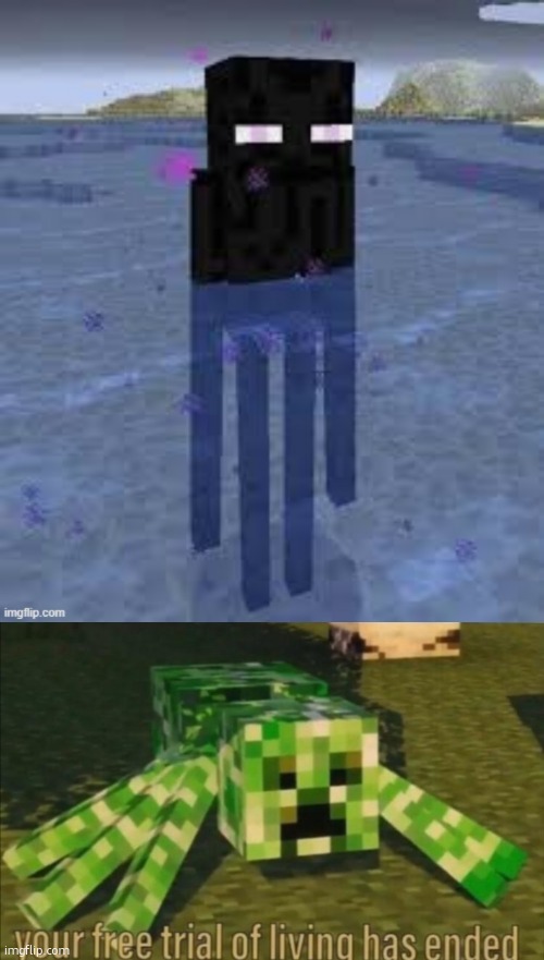 ahhhhhhhh but you have to disintegrate in water!!! | image tagged in cursed enderman,your free trial of living has ended,gaming,minecraft | made w/ Imgflip meme maker