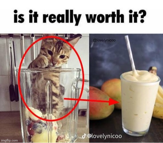 Why not start another meme week from Monday, Give idea | image tagged in is it really worth it cat blender | made w/ Imgflip meme maker