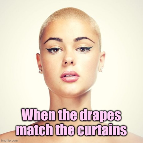 Bald Woman | When the drapes match the curtains | image tagged in bald woman | made w/ Imgflip meme maker