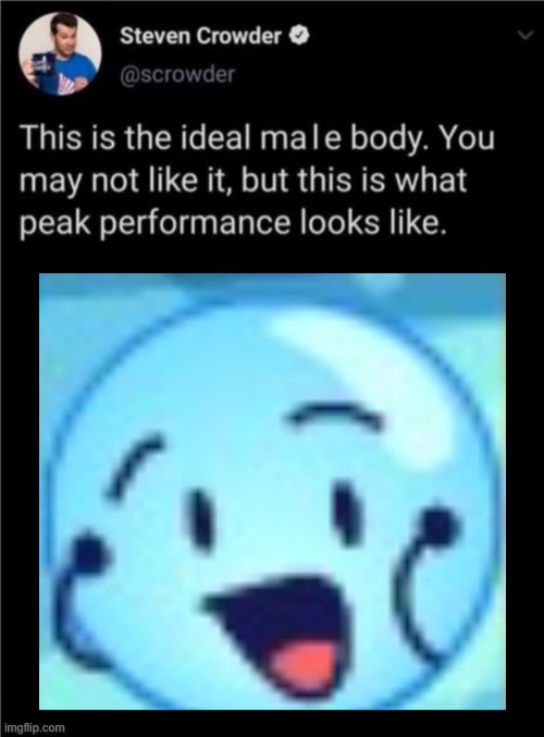 I don't care if I get hated on because it's bfdi. She is a goober and I love her. | image tagged in ideal male body hq | made w/ Imgflip meme maker