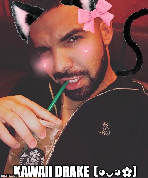 Soo kawaii (⁠ㆁ⁠ω⁠ㆁ⁠) | KAWAII DRAKE  (⁠◕⁠ᴗ⁠◕⁠✿⁠) | image tagged in kawaii | made w/ Imgflip meme maker