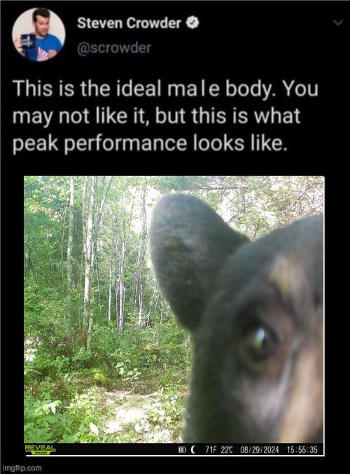 Ideal Male Body HQ | image tagged in ideal male body hq | made w/ Imgflip meme maker