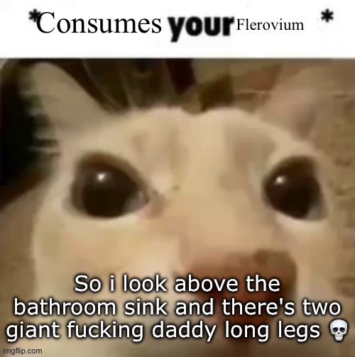 Yakko consumes your flerovium | So i look above the bathroom sink and there's two giant fucking daddy long legs 💀 | image tagged in yakko consumes your flerovium | made w/ Imgflip meme maker