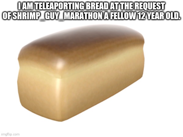 I AM TELEAPORTING BREAD AT THE REQUEST OF SHRIMP_GUY_MARATHON A FELLOW 12 YEAR OLD. | made w/ Imgflip meme maker