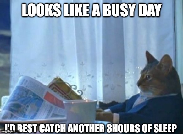 I Should Buy A Boat Cat Meme | LOOKS LIKE A BUSY DAY; I'D BEST CATCH ANOTHER 3HOURS OF SLEEP | image tagged in memes,i should buy a boat cat | made w/ Imgflip meme maker