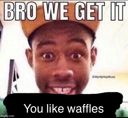 Bro we get it (blank) | You like waffles | image tagged in bro we get it blank | made w/ Imgflip meme maker