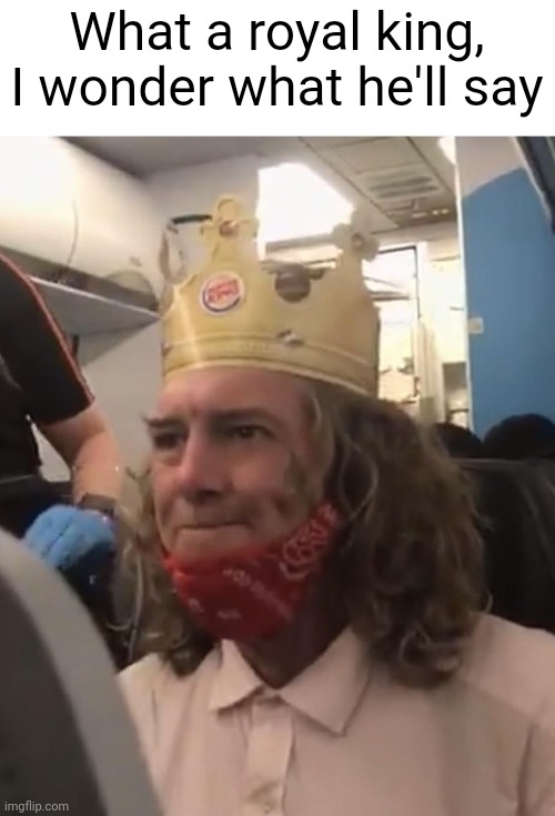 Burger King Crown Airplane | What a royal king, I wonder what he'll say | image tagged in burger king crown airplane | made w/ Imgflip meme maker