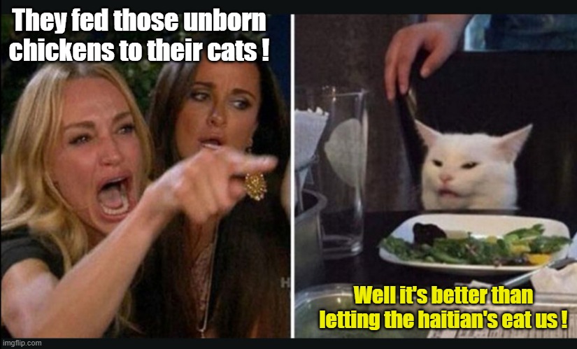 Cracker cat | They fed those unborn chickens to their cats ! Well it's better than letting the haitian's eat us ! | image tagged in cracker cat | made w/ Imgflip meme maker