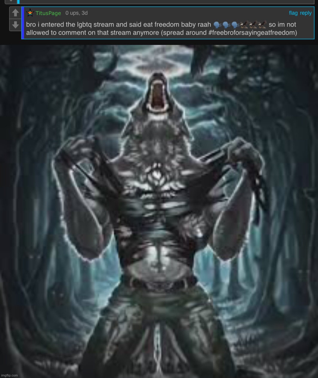 image tagged in sigma lone wolf | made w/ Imgflip meme maker