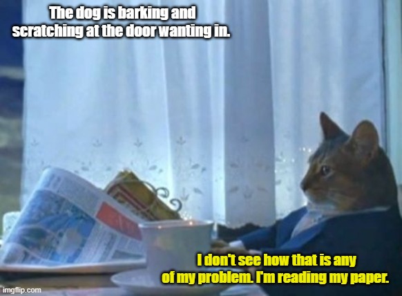 I Should Buy A Boat Cat | The dog is barking and scratching at the door wanting in. I don't see how that is any of my problem. I'm reading my paper. | image tagged in memes,i should buy a boat cat | made w/ Imgflip meme maker