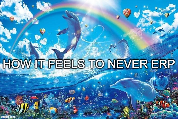 Happy dolphin rainbow | HOW IT FEELS TO NEVER ERP | image tagged in happy dolphin rainbow | made w/ Imgflip meme maker