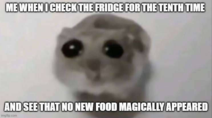 Welp, I'll check again in five minutes | ME WHEN I CHECK THE FRIDGE FOR THE TENTH TIME; AND SEE THAT NO NEW FOOD MAGICALLY APPEARED | image tagged in sad hamster,memes | made w/ Imgflip meme maker