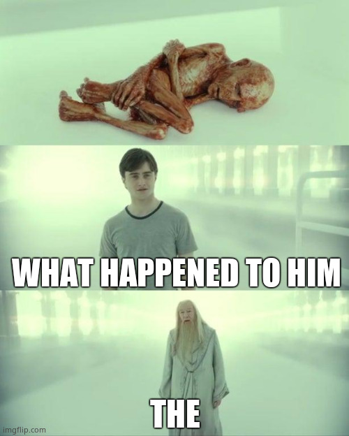 Forgettable meme | WHAT HAPPENED TO HIM; THE | image tagged in dead baby voldemort / what happened to him | made w/ Imgflip meme maker