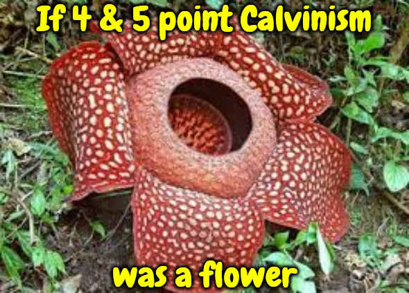 If It Was A Flower | If 4 & 5 point Calvinism; was a flower | image tagged in calvinism,arminian,molinism,theology,flowers,false doctrine | made w/ Imgflip meme maker