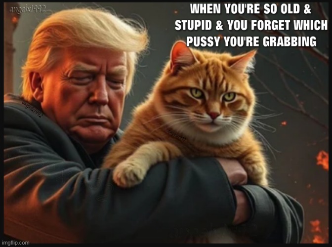 weird old man trump creep | image tagged in caturday,cats,old man,donald trump is an idiot,clown car republicans,donald trump the clown | made w/ Imgflip meme maker