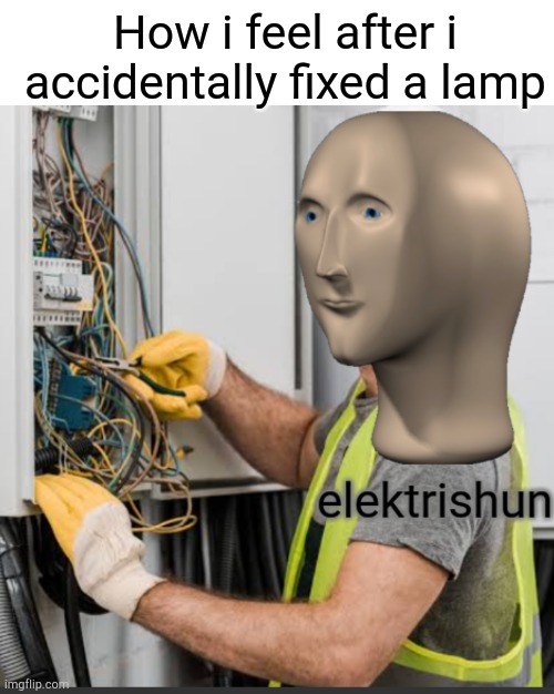 Elektrishun | How i feel after i accidentally fixed a lamp | image tagged in sifh,fish | made w/ Imgflip meme maker