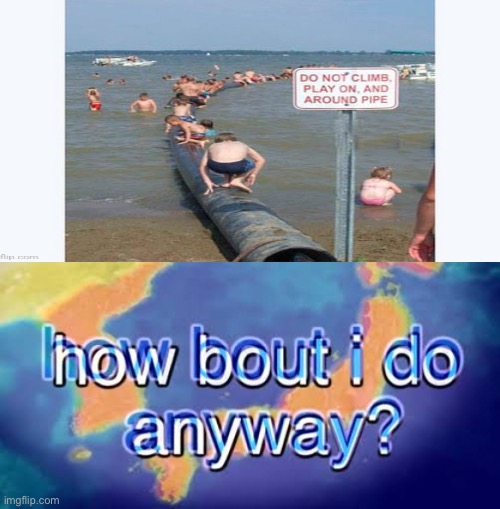 How bout i do anyway? | image tagged in how bout i do anyway | made w/ Imgflip meme maker