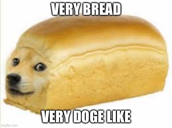 Doge bread | VERY BREAD; VERY DOGE LIKE | image tagged in doge bread | made w/ Imgflip meme maker